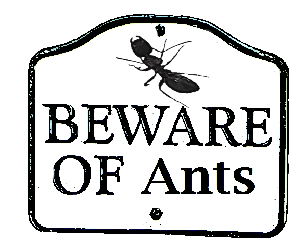 https://files.peakd.com/file/peakd-hive/agmoore/23vsmVhVTTL6ZYBBwvEzqnmyKm9ohBy8yoxCNgCwdz4MYygQy3yv7BFrGes8vLbFPqonQ.png