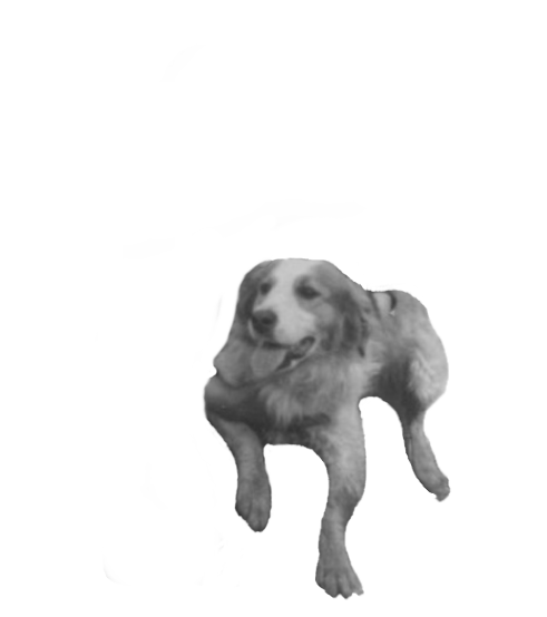 https://files.peakd.com/file/peakd-hive/agmoore/23xpWDZp5N1wM6cKZ5zLtaF4mUBZtx616MMvn1ohGNgfVT8TPVRwEVFsrDyURd4bxt3SC.png