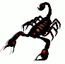 scorpion pixabay gif.gif