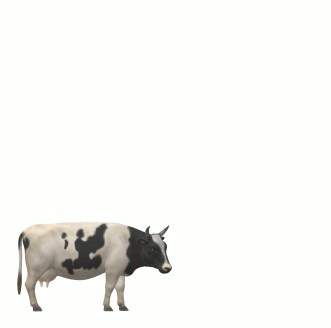 cow for dwixer gif.gif