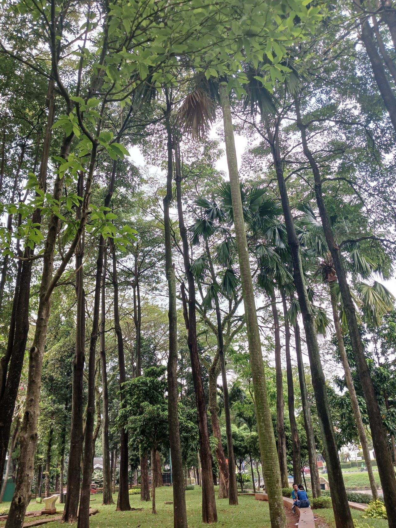 https://files.peakd.com/file/peakd-hive/agungprasetyo/23vhuB7YiBz655dSqH3PWBEGhdq3ai8KSQUd8YSRFYL32eAaXH4CiyA59xUM3d8oWkLGX.jpg