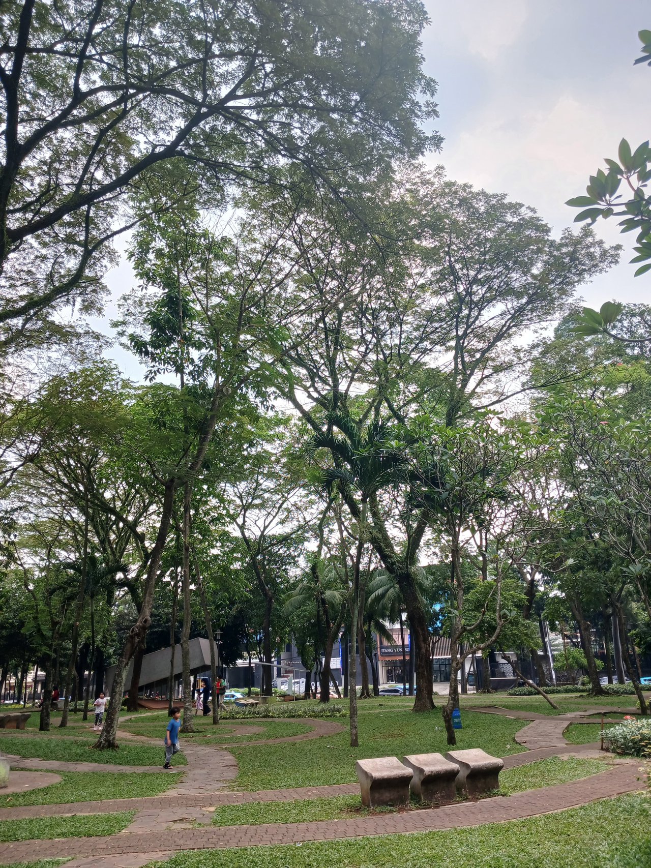 https://files.peakd.com/file/peakd-hive/agungprasetyo/23ynQJMp8YS4aKjfHbZcDKutXsKQZrz53pZkgYHenYUNG3WB5ydBQQ4BsMJxfaN8YkJgs.jpg