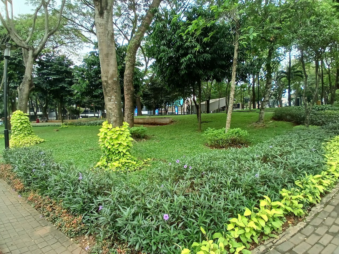 https://files.peakd.com/file/peakd-hive/agungprasetyo/EoiUpSo9jMbjKrWnFimAwKNxvy7ovfV2v4prGe2fBULuCxoEN1tYUW47tXGXsX9GuNy.jpg