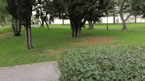 0043.gif