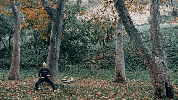 Xuanwu quan forest 2.gif