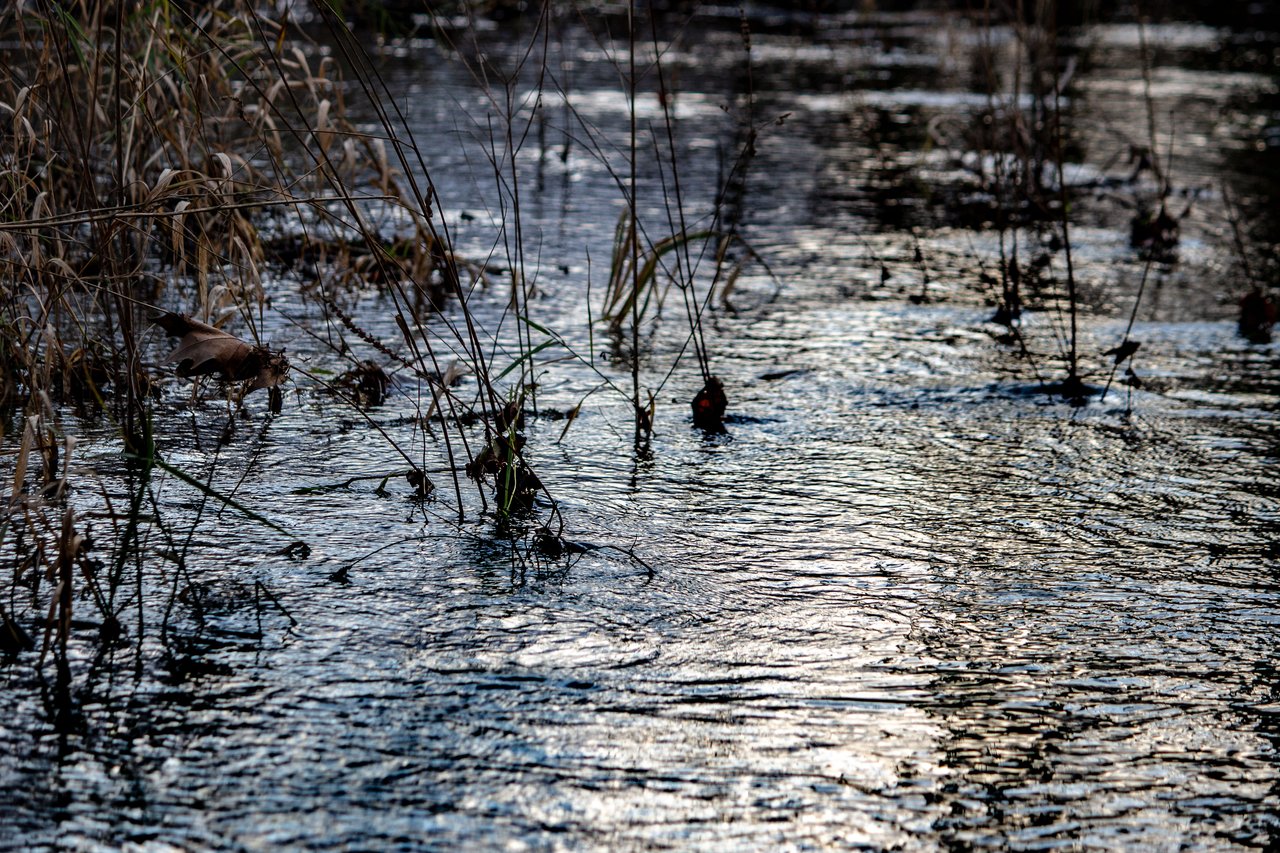 riverberi_21305.jpg