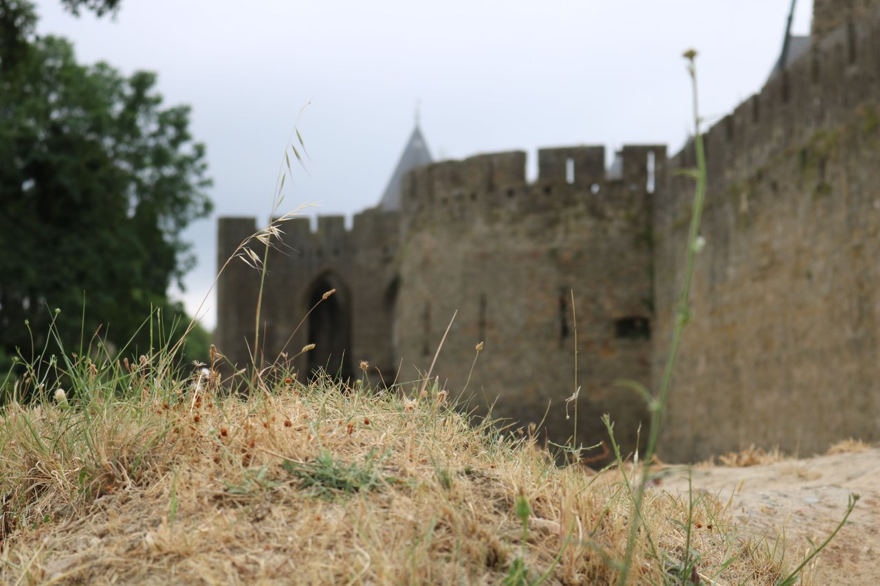 Carcassonne – Back to the Middle Ages – Miss Vacation