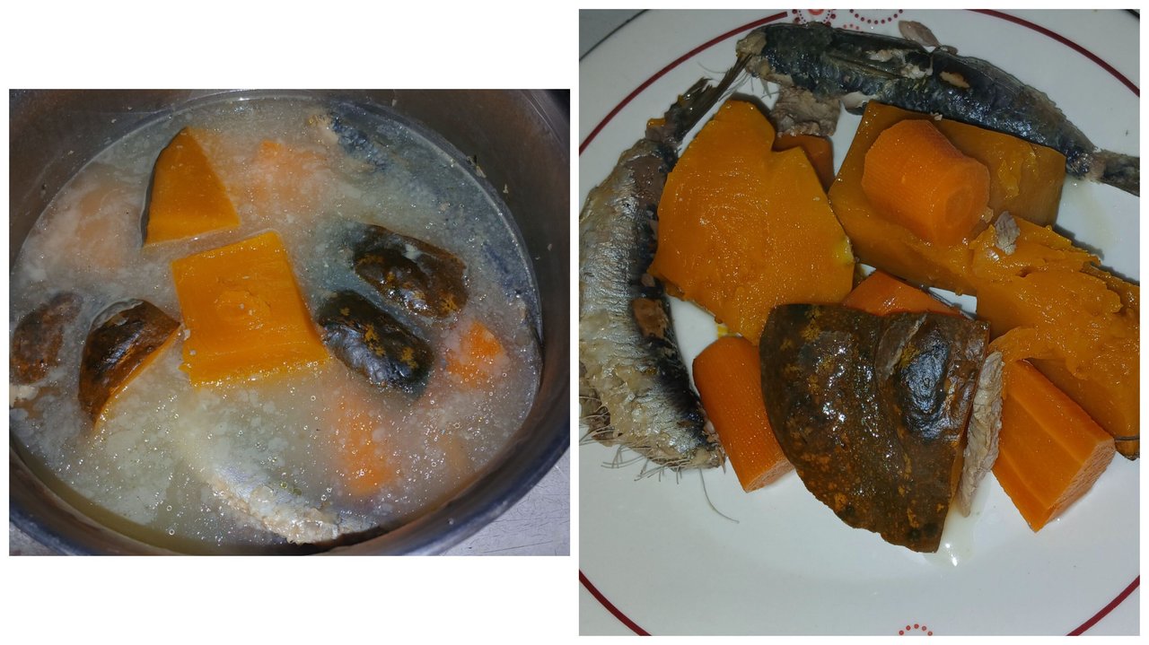 Comida especial para mis gatitas (Esp/Eng)