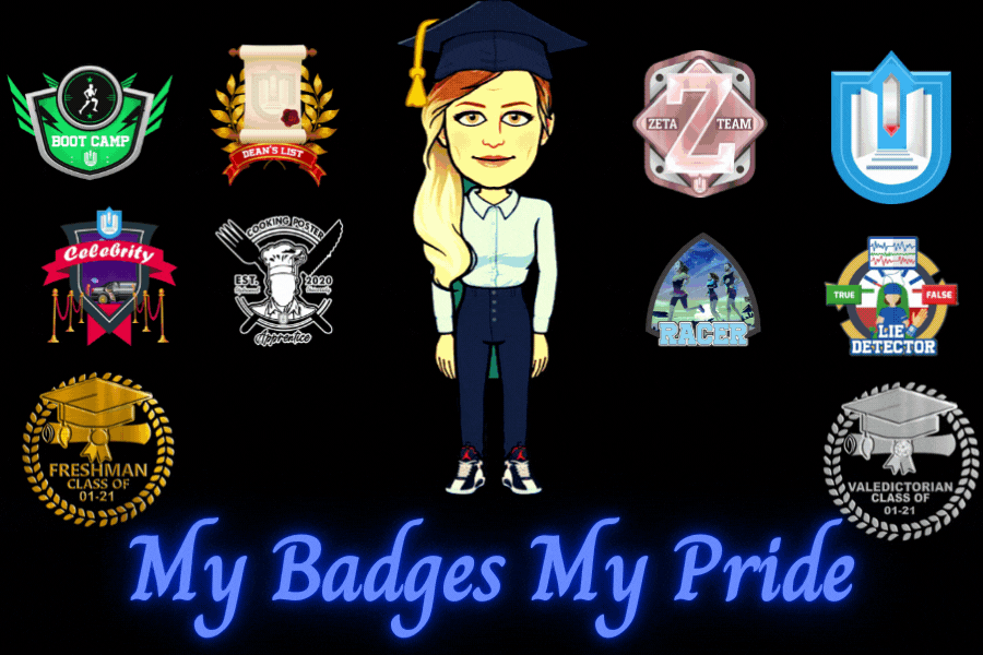 My Badges My Pride.gif