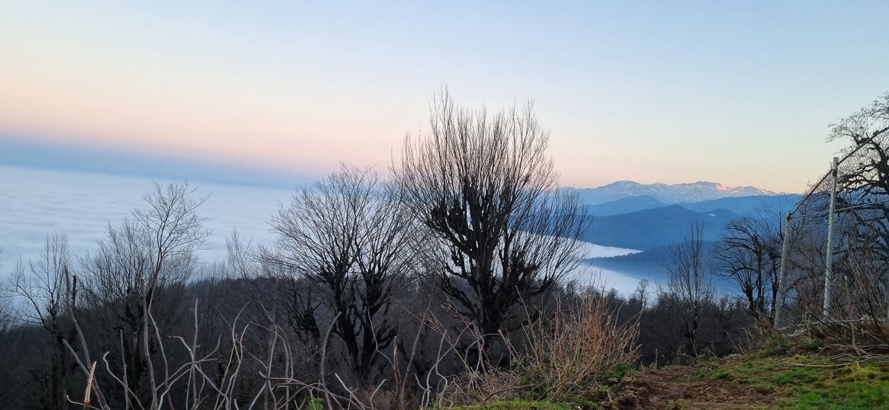 https://files.peakd.com/file/peakd-hive/amirhjalalian/EoTdNbrWbA3EwjkbzZmJM7v86i6bmusgUegmokqie4TgaijtQREgEKe8vCaisDKhmvb.jpg