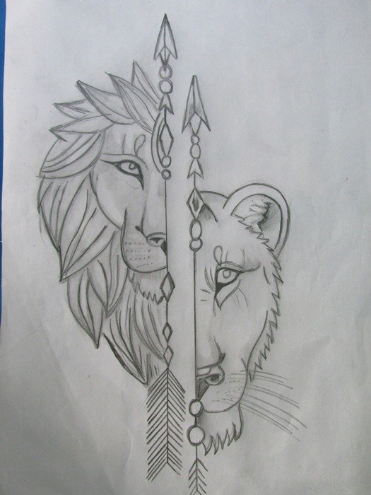 ESP/ENG] Dibujando un León y Leona a lápiz / Drawing a Lion and Lioness in  pencil by @andresrk | PeakD