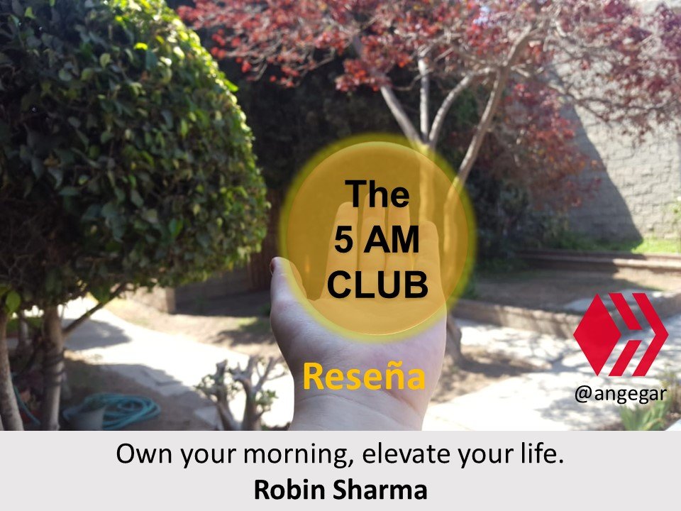 The 5 am club by Robin Sharma [ENG|ESP]- El club de las 5 am - Reseña  original | PeakD