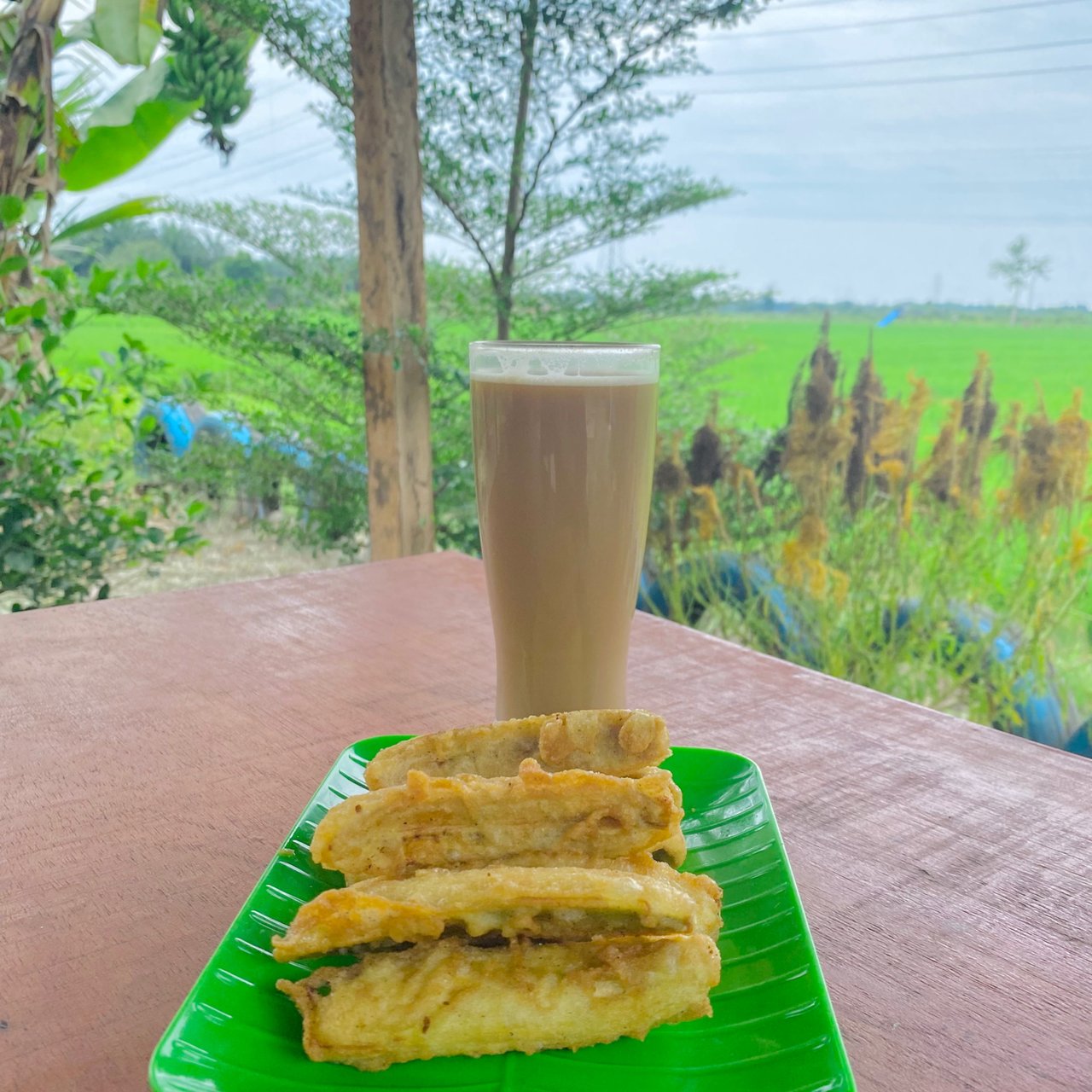 Drink Coffee With Rice Fields Atmosphere