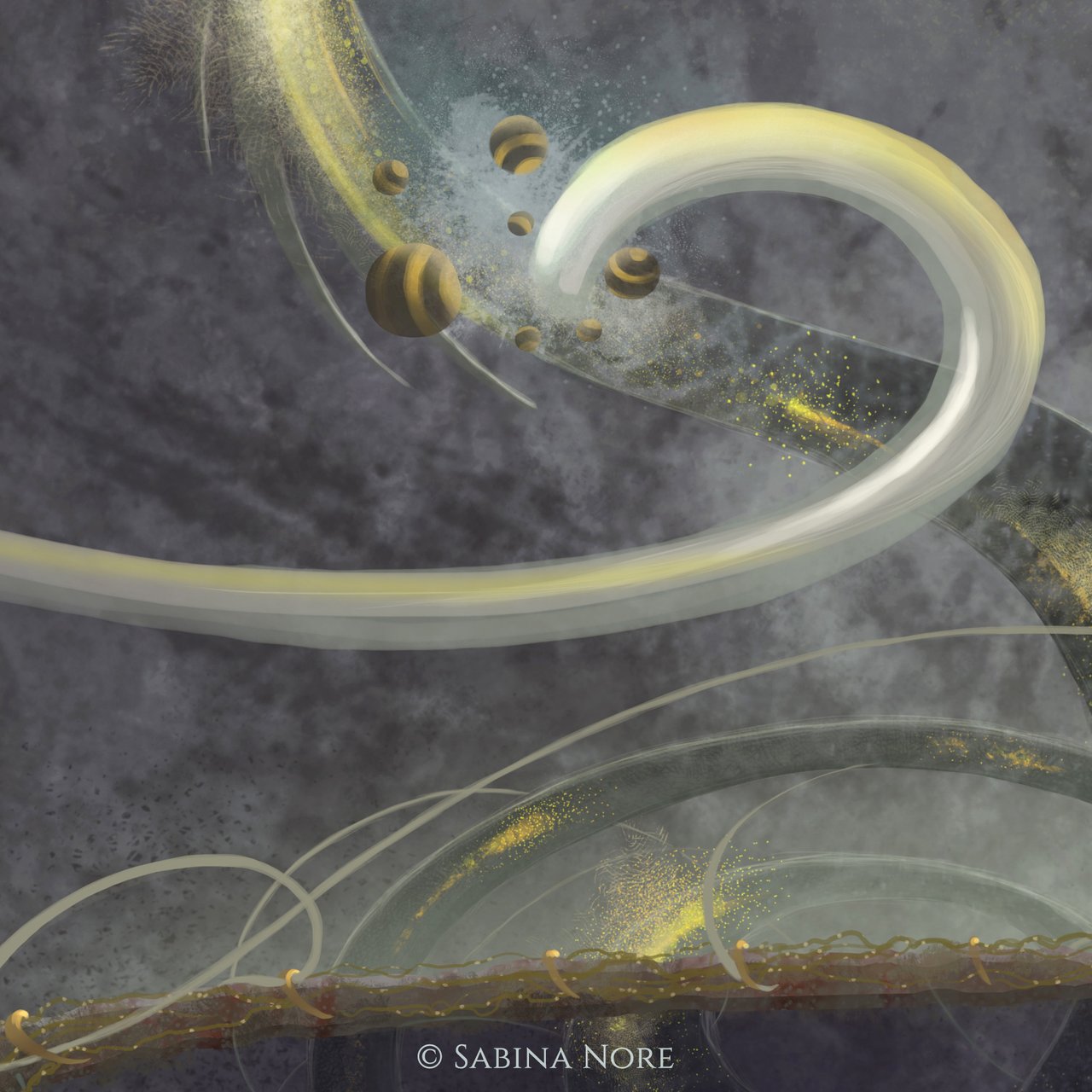 transmutation2sabinanore.jpg