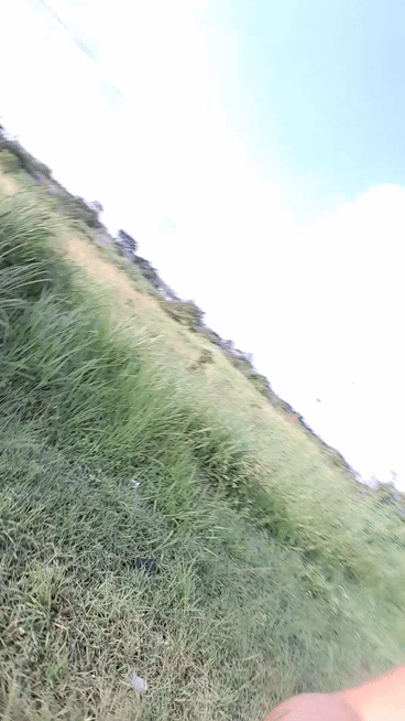 1001251195.gif
