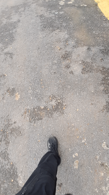 1001206253.gif