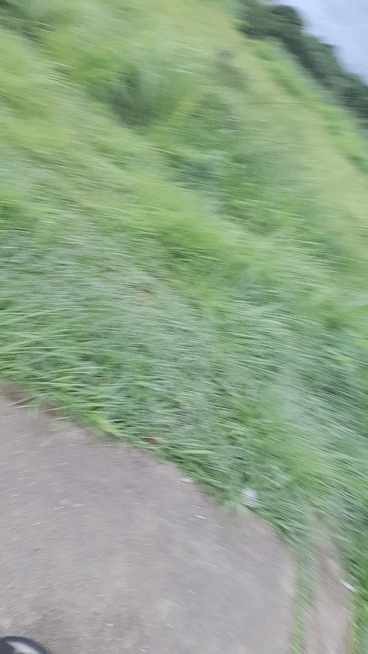 1001227785.gif