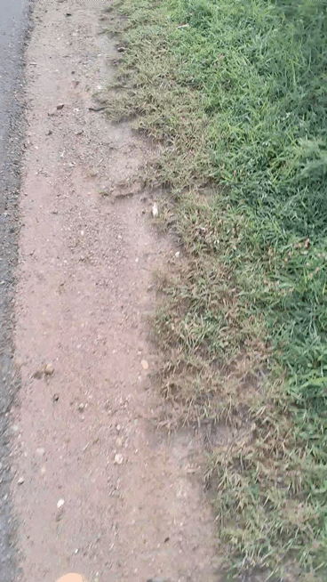 1001251194.gif