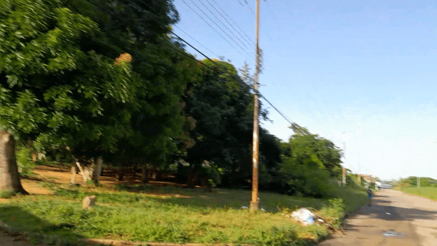 1001280685.gif