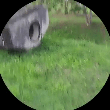 1001223198.gif