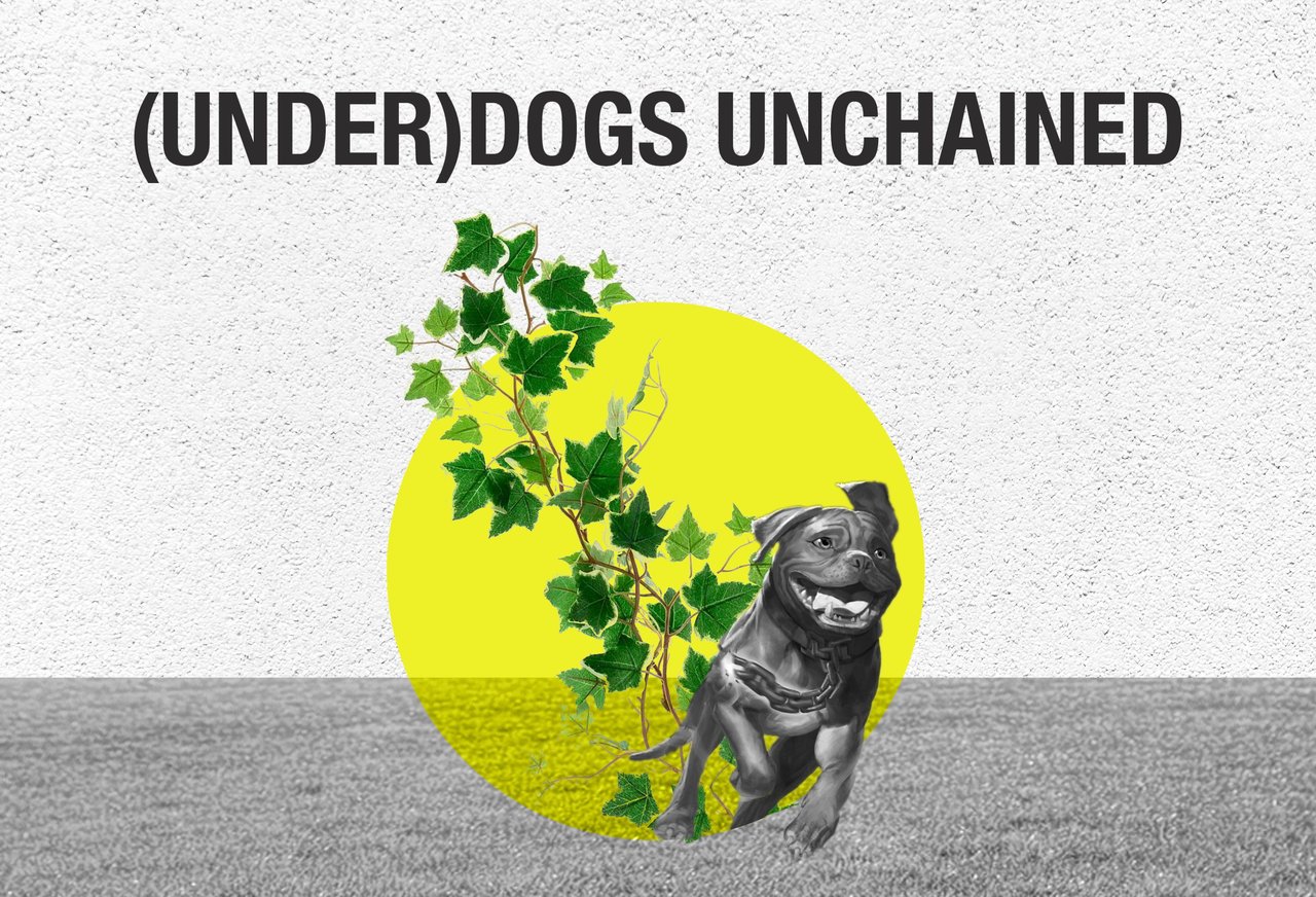 (under)dogs unchained - A deep dive into one of the format's best archetype