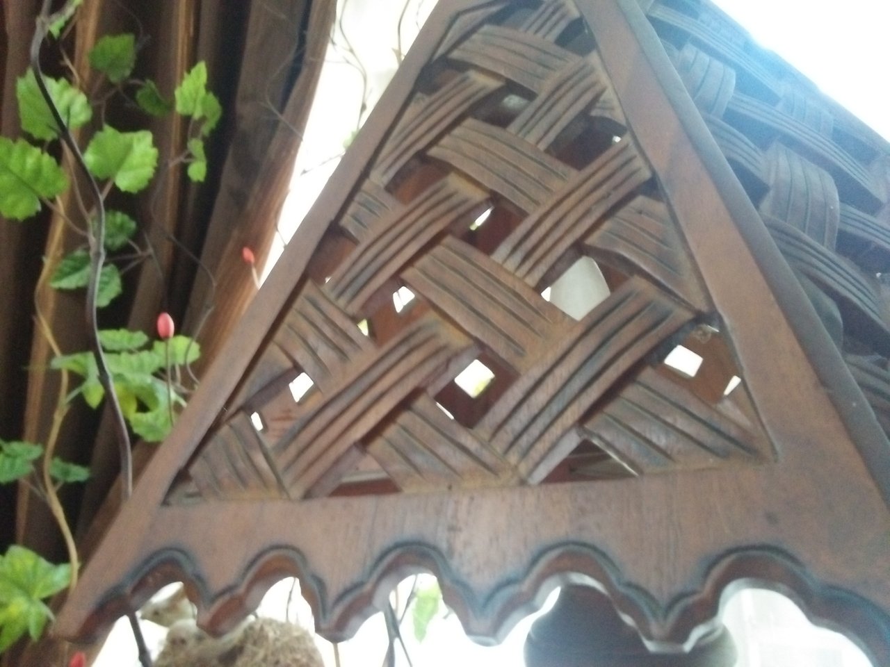 IMG20200725110417.jpg