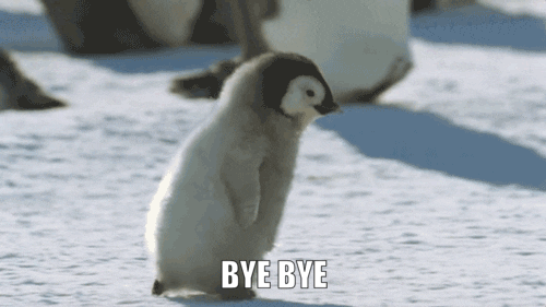bye penguin.gif