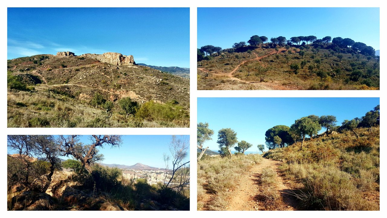 Sounds of breeze and bright sunshine – Monte Coronado Trail 📷 Malaga – Spain