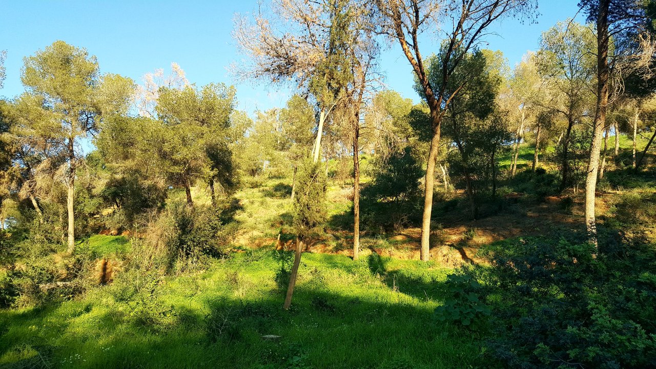 Hiking to the Viewpoint of the Coast - A rewarding experience 📷 Malaga - Spain