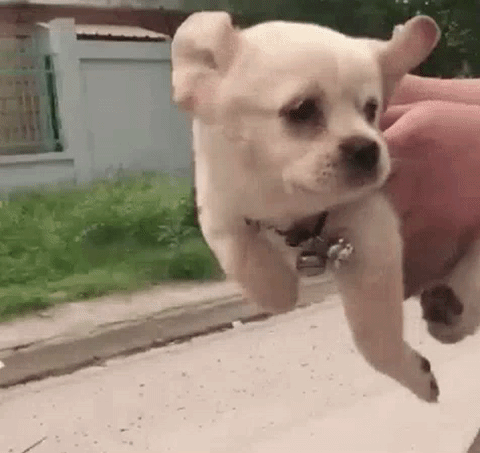source 1.gif