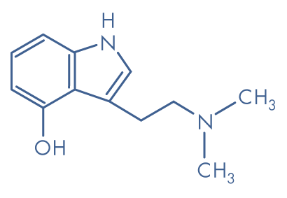 psilocin.gif