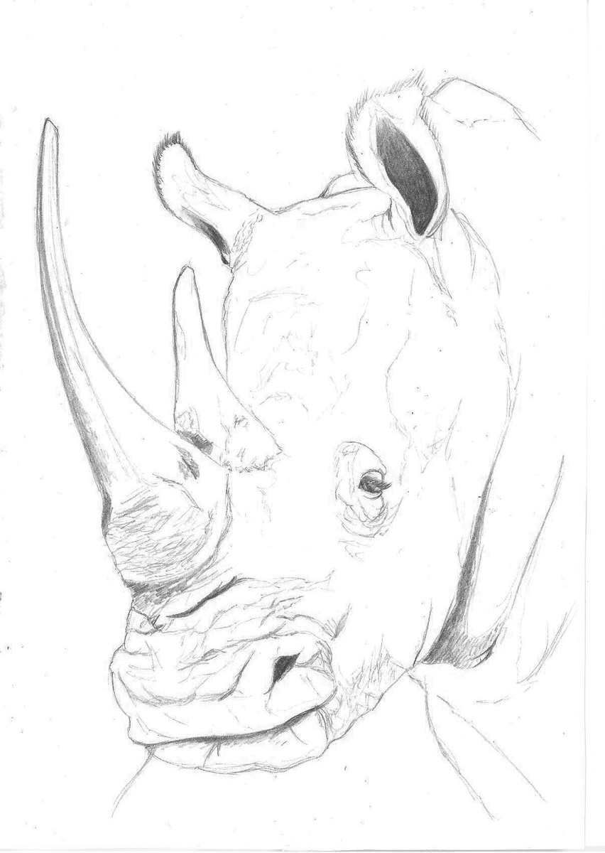 Rhino.gif