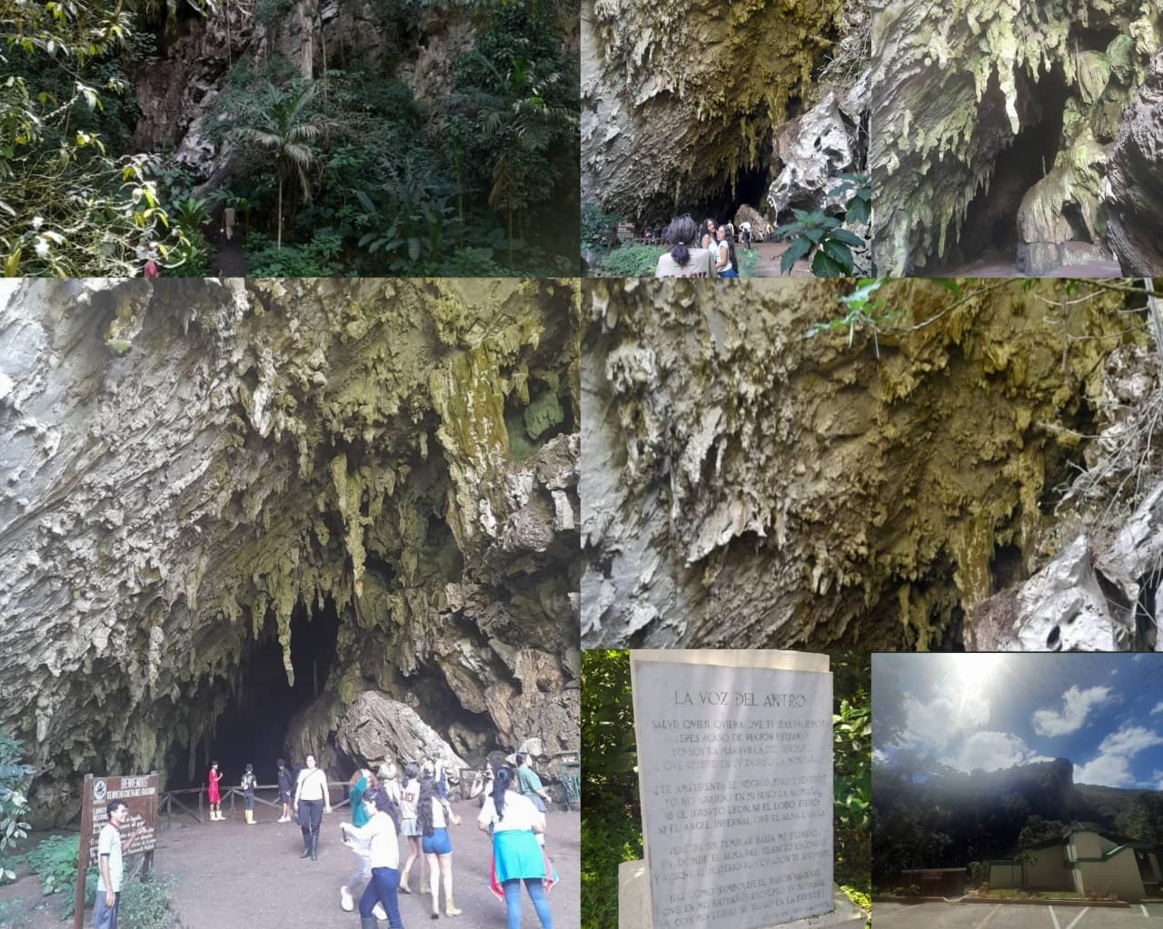 https://files.peakd.com/file/peakd-hive/belkyscabrera/23tbs3rxzsGQsKN8umLwcQkFBkigf5EpB7mfe8bgz2FMY8HCi4RxykfwTRyAvTimsa2Pz.jpeg