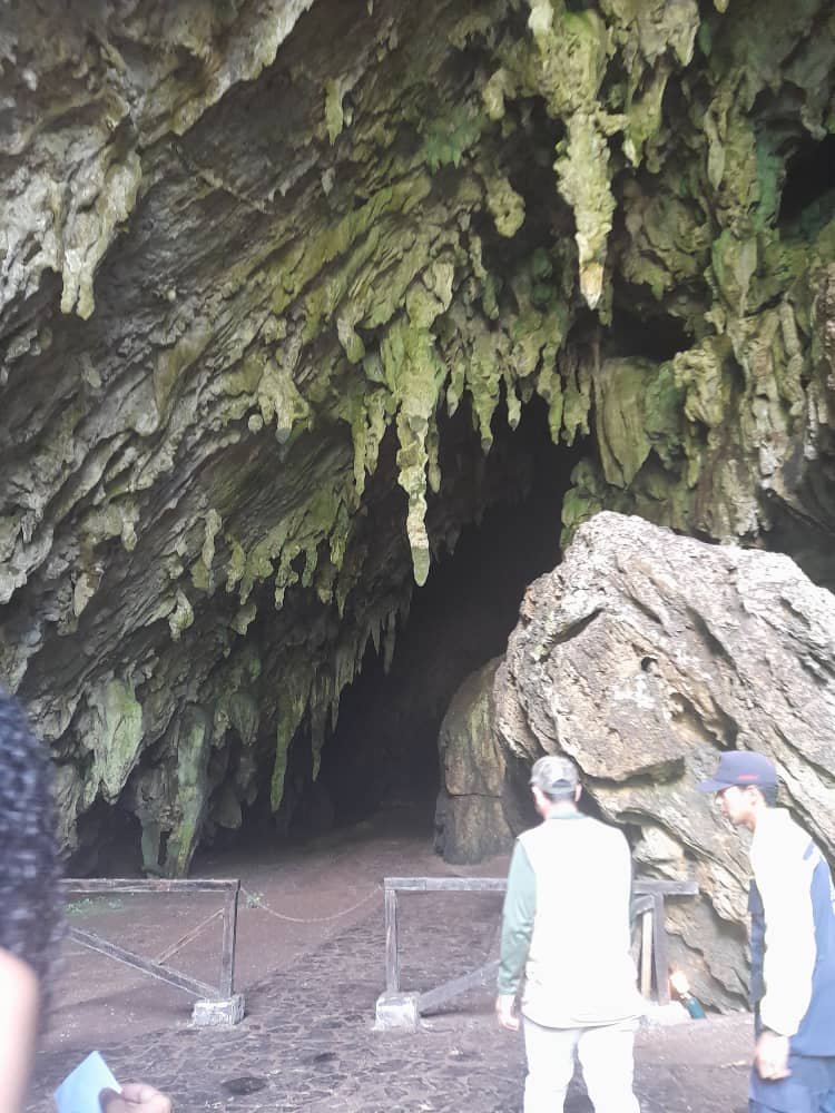 https://files.peakd.com/file/peakd-hive/belkyscabrera/23w2oCqCtNuB5pSoCcRBX225j54vpMKuF1CMksYtT8Bm9NZoTXfaSeFPQbTcrPeka9UqP.jpeg