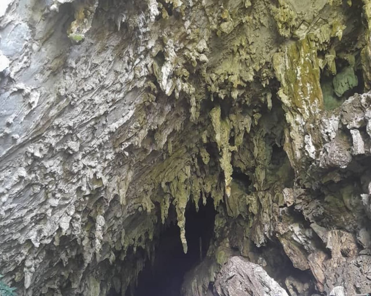 https://files.peakd.com/file/peakd-hive/belkyscabrera/23wWtdL6MpeHyawC9h8Pv7w8TFaCi9cRj4dvSPxAihoA9Md1UZJ5hJzEmSVaxwr44EbvG.jpeg