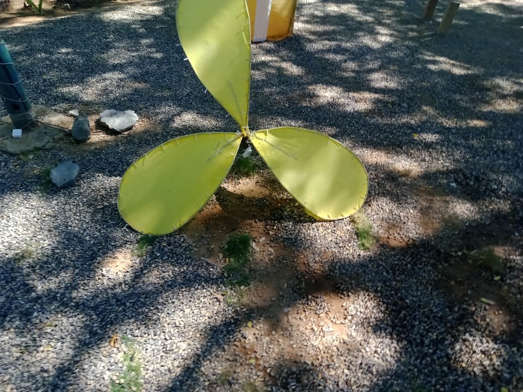 plaza Ribero (9).jpeg