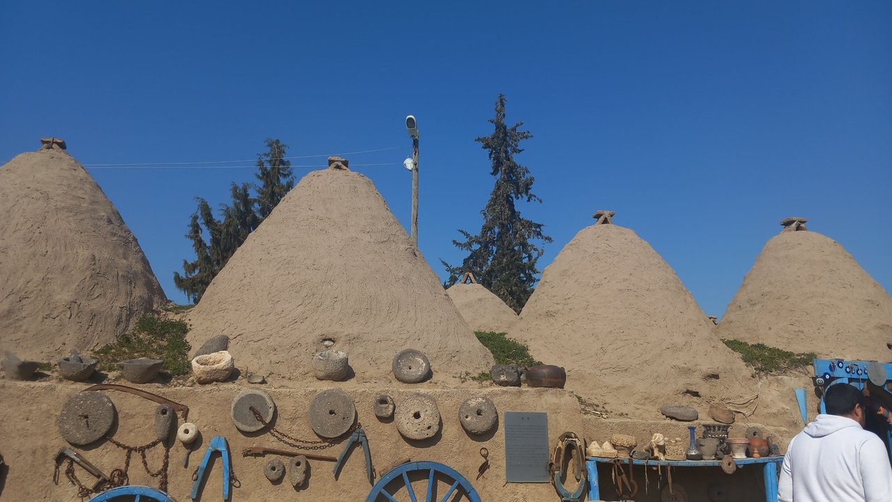 23xAPAAFfSMVmv6Pdh7QurzjvJbMqwF4ZpMVsLKRhTLuVFoY2MPEhQDi398wj8CMjSw2S.jpg
