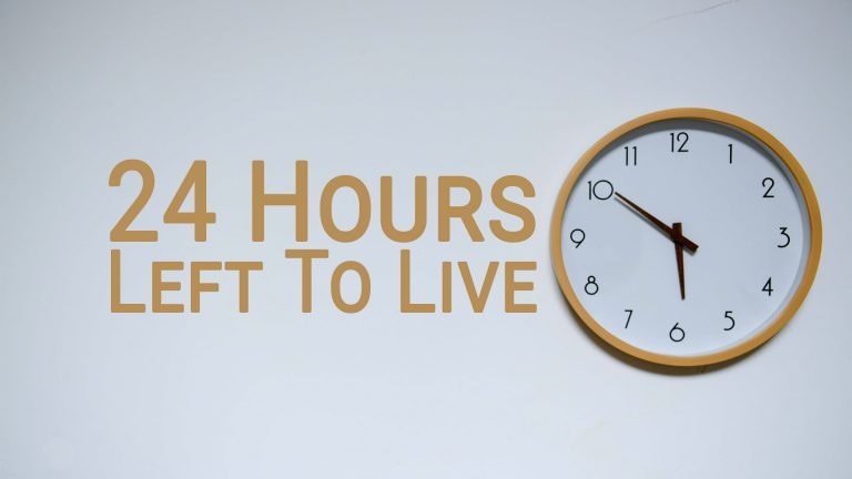 https://files.peakd.com/file/peakd-hive/blacktarri/23w31dVe2zJHcqEn4L8Ed7f6hdpLM2KUbaQX1B32wroQF4WbFDatt2GMVLJG1X9QCSGzv.jpg