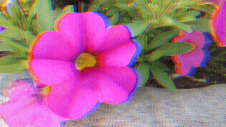 1000017123.gif