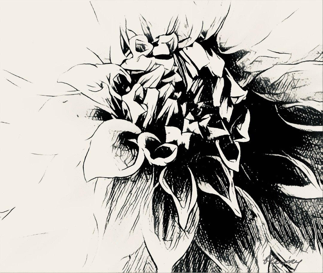 https://files.peakd.com/file/peakd-hive/bleujay/243MHujNmwFVUnhirtJrEUCEJZPE48eFnwxfFvPpNAVRH5pZQzCQwQmXm5PGRxFnxAn1R.jpeg