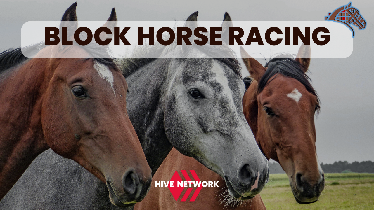 https://files.peakd.com/file/peakd-hive/blockhorseracing/23ywnsvUWArwUptNVRQyUHsBRATFrn4K6Y7Cp3axVScLj7PtCnLrNmyio1UtRgonHiHZj.png