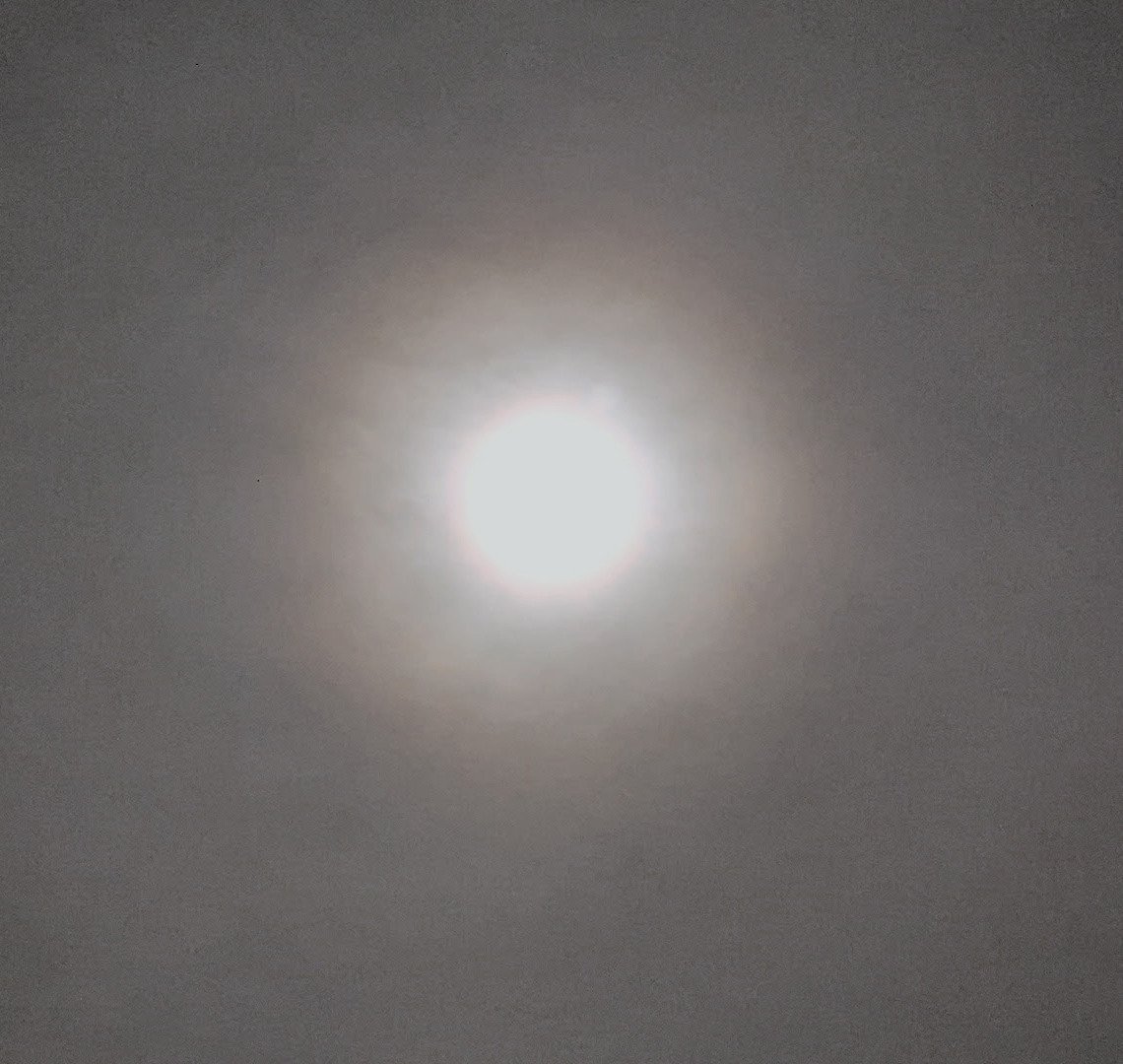 https://files.peakd.com/file/peakd-hive/borepstein/23uFPUDyN2Y8VG8ZaXYpuQmFF2fysB5YwAmoP7iYUwyjHEsh1FjQiHVbdCZ5wNnCcUvNc.jpg