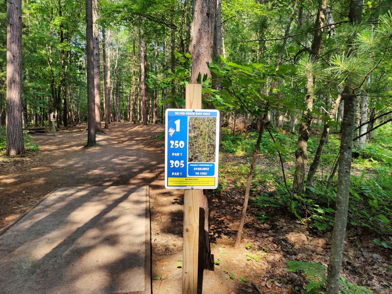 20+ Bassett Creek Disc Golf Course