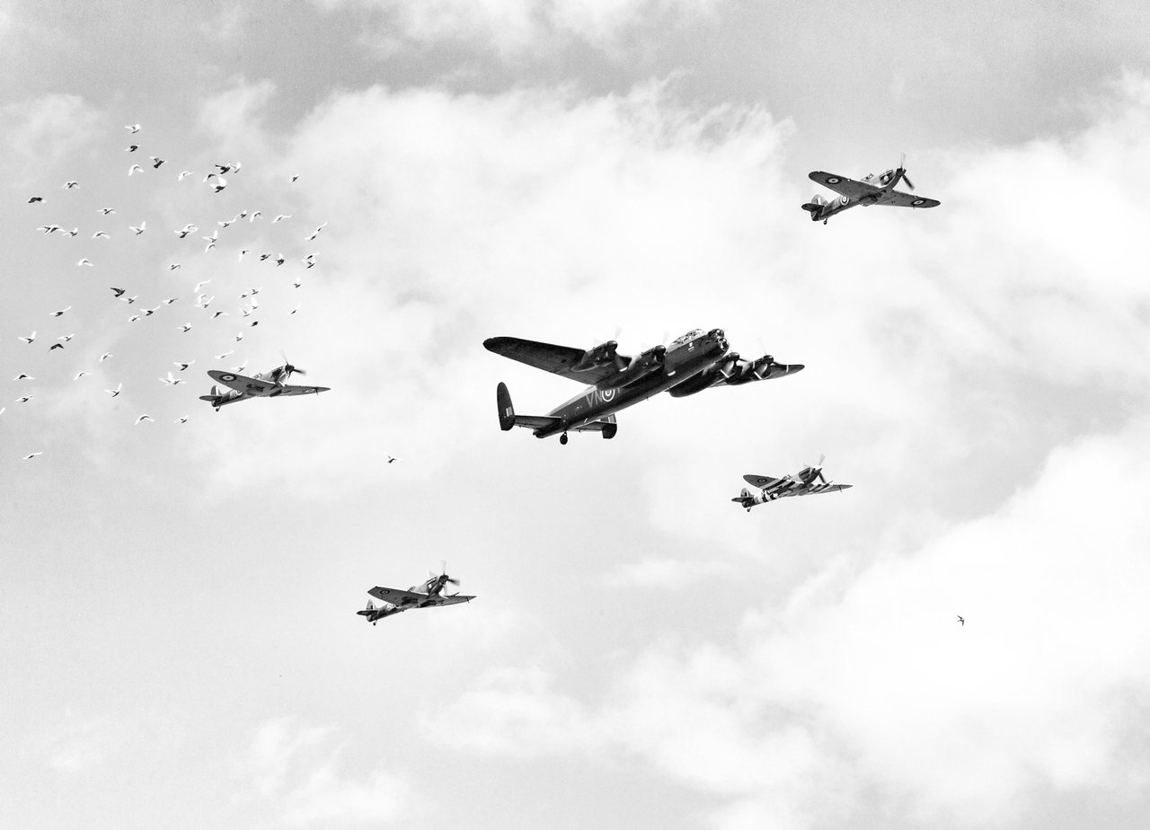 bbmf21201.jpeg
