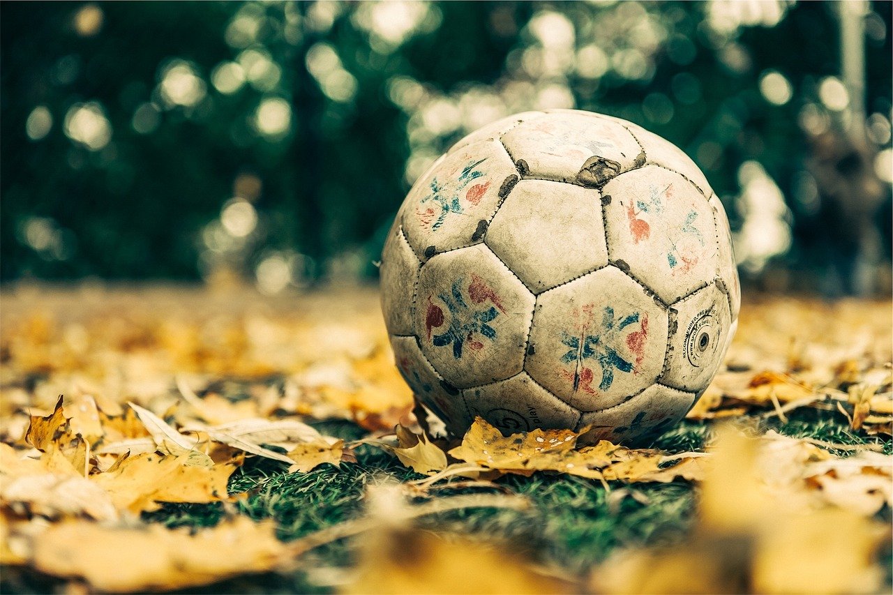 soccer698553_1280.jpg