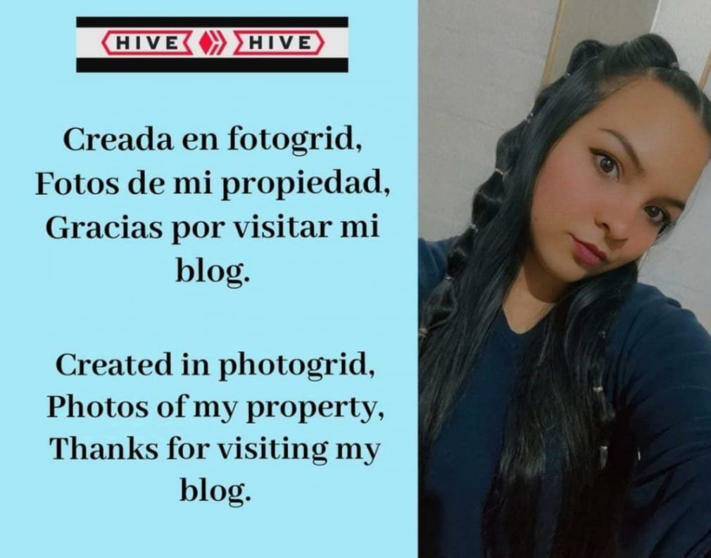 https://files.peakd.com/file/peakd-hive/carlagabriela/23v4Qx8MwoMNU22Th6CsyLspnP3WMnQYK7k4WCeBBSnj1E6VJ1p1kc6rNxJ76tZA1cTmi.jpg