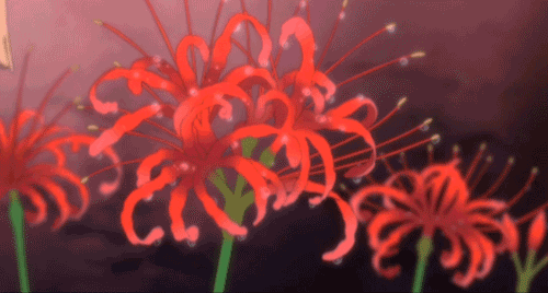 136051.gif