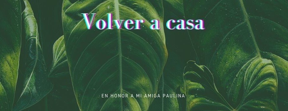 Volver a casa.jpg