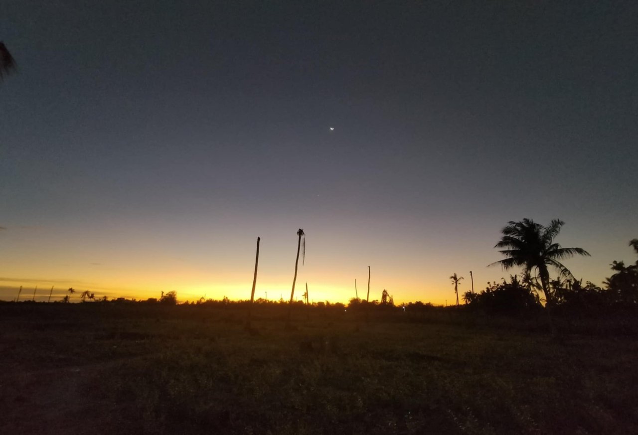 https://files.peakd.com/file/peakd-hive/casiano123/Eou6j5VnKPvafRcCM5BMuXVKFkXf94vPTZrpt6gsGaAa8tsWHkxsGQAwdtuyhFfxU4p.jpeg