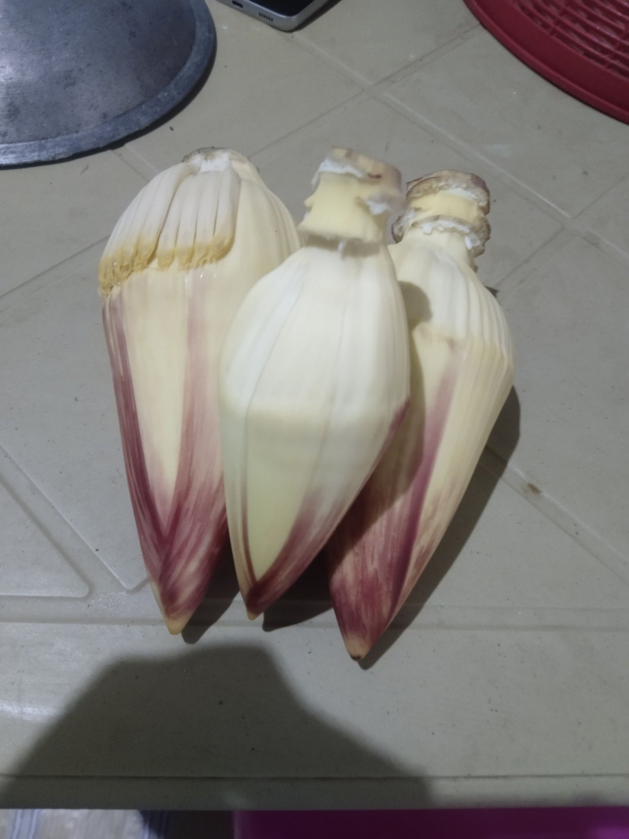 https://files.peakd.com/file/peakd-hive/cbaguio1991/23uQridqC2UecLypTq3FabAe9322Mr2bTGCCXtxAAnfYgxx1N2TBLSy56WwcFMNkBd28Y.jpg